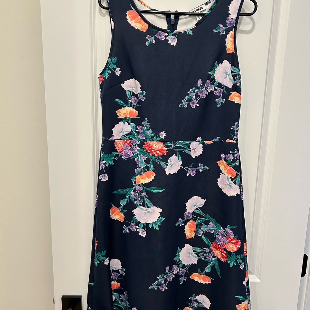 Express Blue and Pink Sleeveless A-Line Midi Dress